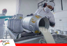 Chile abre la puerta a la carne y leche boliviana y se perfila como nuevo mercado estratégico La Industria podrá exportar leche liquida y en polvo a Chile / Foto: Internet