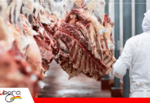 Bolivia concreta sus primeros envíos de carne bovina a Egipto y abre un nuevo mercado