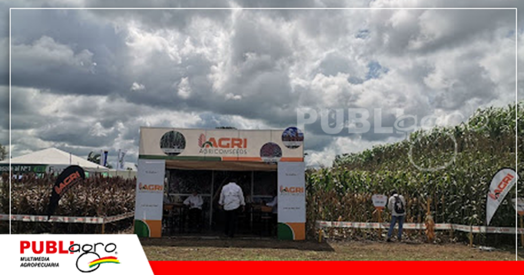 Foto: Publiagro