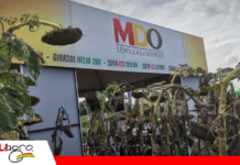 EXPOSOYA 2026: MDO presenta híbridos de sorgo y soya adaptados a condiciones secas