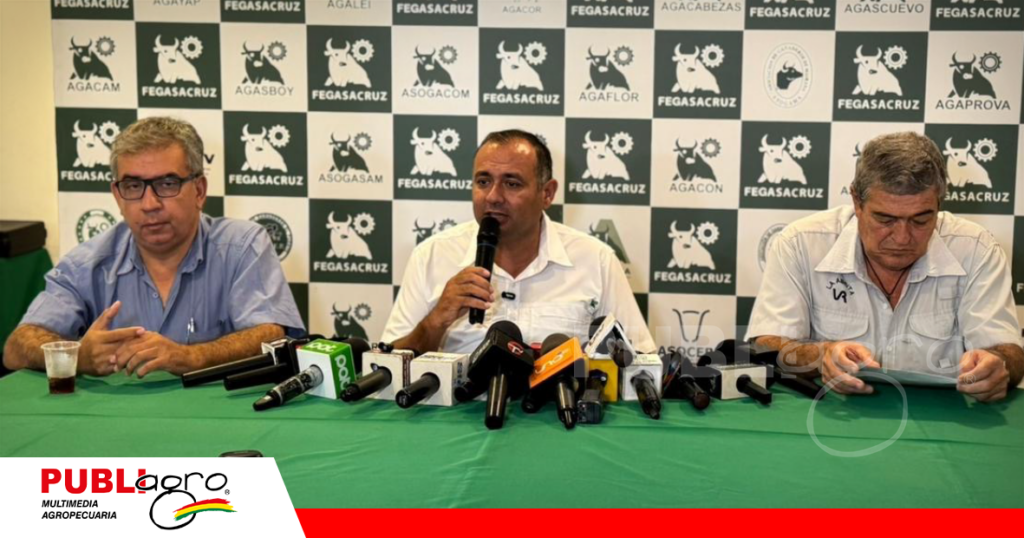 Tres frigoríficos autorizados para la exportación de carne a Paraguay/ Foto: Internet