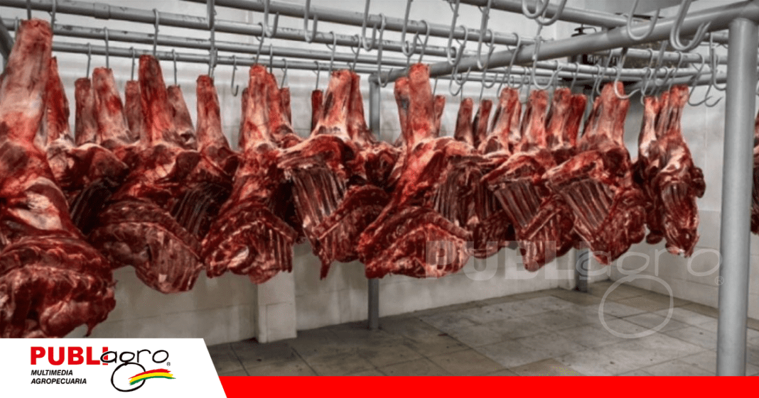Tres frigoríficos autorizados para la exportación de carne a Paraguay/ Foto: Internet