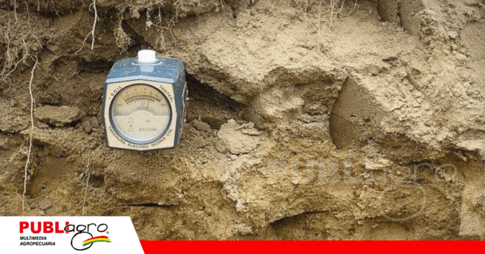 Bolivia también presenta problemas como sus suelos con alta alcalinidad/ Foto Sembralia