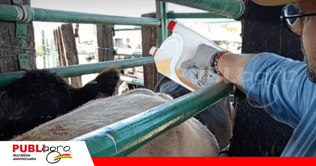 Productos garrapaticidas/ Foto: Internet