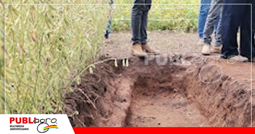 Análisis de suelo y resultados mediante una calicata/ Foto: Publiagro