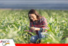 Mujeres rurales: el motor invisible que puede transformar la seguridad alimentaria mundial