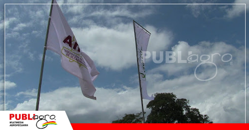 Foto: Publiagro