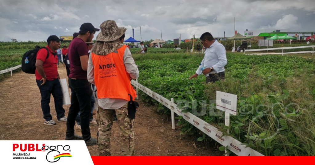 Ensayos en parcelas agrícolas de Anapo/ Foto: Publiagro