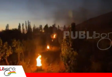 Fogatas al amanecer, una estrategia para proteger cultivos frente a las heladas Foto: Internet