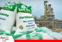 Planta de urea de Bulo Bulo retoma operaciones y refuerza el abastecimiento de fertilizantes para el agro Despues de 28 días de mantenimiento, la planta de urea vuelve a funcionar / Foto: Internet