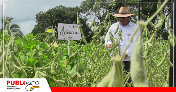 Material Garza disponible para el agricultor/ Foto: Publiagro