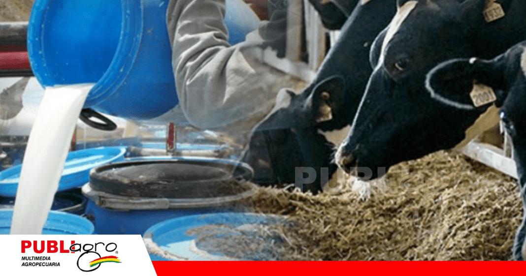 El precio de la leche queda liberada, ahora queda coordinar con la Industria / Foto: Internet