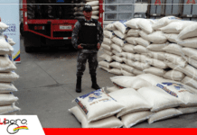 Operativo revela ingreso de arroz ilegal y fallas sanitarias