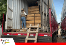 Bolivia consolida exportación de teca a India y fortalece el negocio forestal sostenible Momento de la inspección por parte de la ABT / Foto: ABT