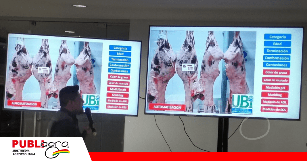 Medición y evaluación en animal frío y caliente/ Foto: Publiagro