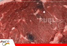 Hematomas en bovinos: cómo reducir pérdidas y mejorar el bienestar animal