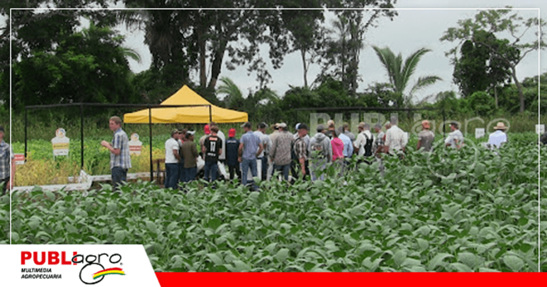 Exposoya Chiquitania 2025, gran afluencia de productores/ Foto: Publiagro