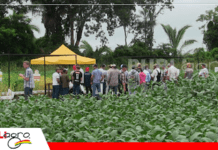 Exposoya Chiquitania 2026 impulsa innovación agrícola en el este cruceño Exposoya Chiquitania 2025, gran afluencia de productores/ Foto: Publiagro