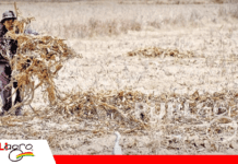 Defensa civil analiza bombardeo de nubes ante sequía crítica en regiones de Cochabamba Foto: Opinión