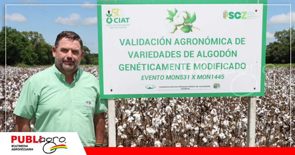 Cañada Larga fue el escenario para validar agronómicamente las variedades de algodón / Foto: CAO