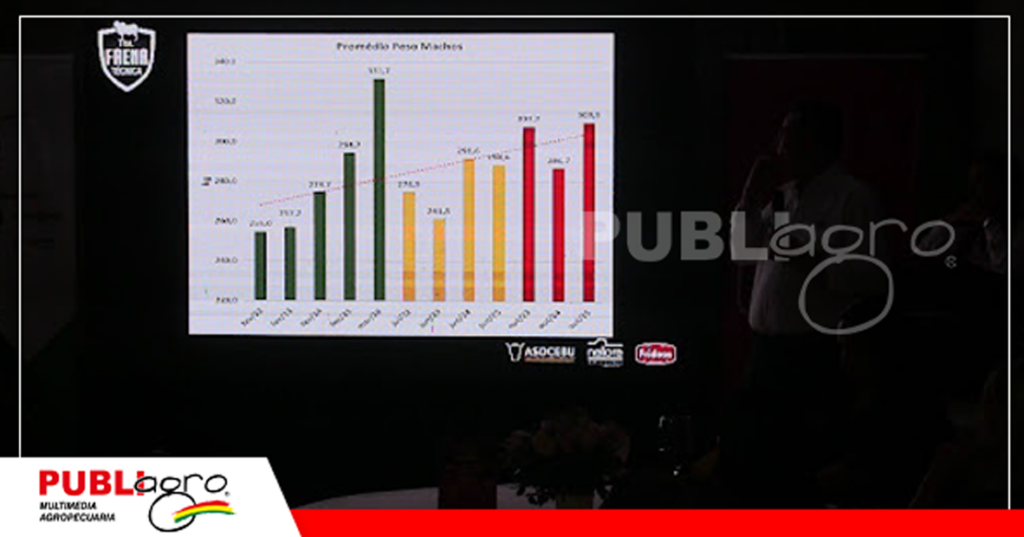 Promedio de peso de los animales en la faena técnica / Foto: Publiagro