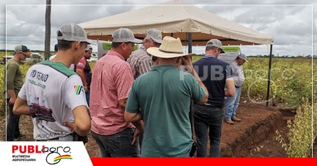 En campo los productores vieron el desarrollo de la raíz del cultivo con buen tratamiento de suelo/ Foto: Publiagro