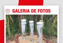 📷Galería de fotos | EXPOSOYA 2026: Calicata de estudio de suelo