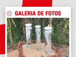 📷Galería de fotos | EXPOSOYA 2026: Calicata de estudio de suelo
