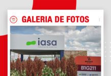 📷Galería de fotos | EXPOSOYA 2026: IASA invita a conocer su nuevo sorgo