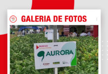 📷Galería de fotos | EXPOSOYA 2026: Lealsem con nuevas semilla de soya Aurora