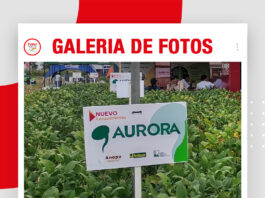 📷Galería de fotos | EXPOSOYA 2026: Lealsem con nuevas semilla de soya Aurora