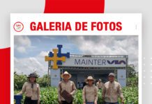 📷Galería de fotos | EXPOSOYA 2026: Tecnología en los girasoles de Mainter