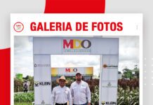 📷Galería de fotos | EXPOSOYA 2026: MDO mostró su sorgo con alto rendimiento