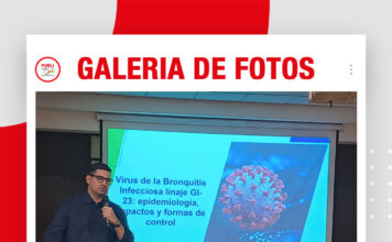📷Galería de fotos | Prevención en bronquitis: Bioseguridad y vacunas en aves