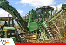 Zafra en riesgo: cañeros declaran emergencia por falta de diésel y alertan pérdidas millonarias