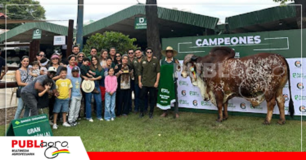 Foto: Gyr y Girolando