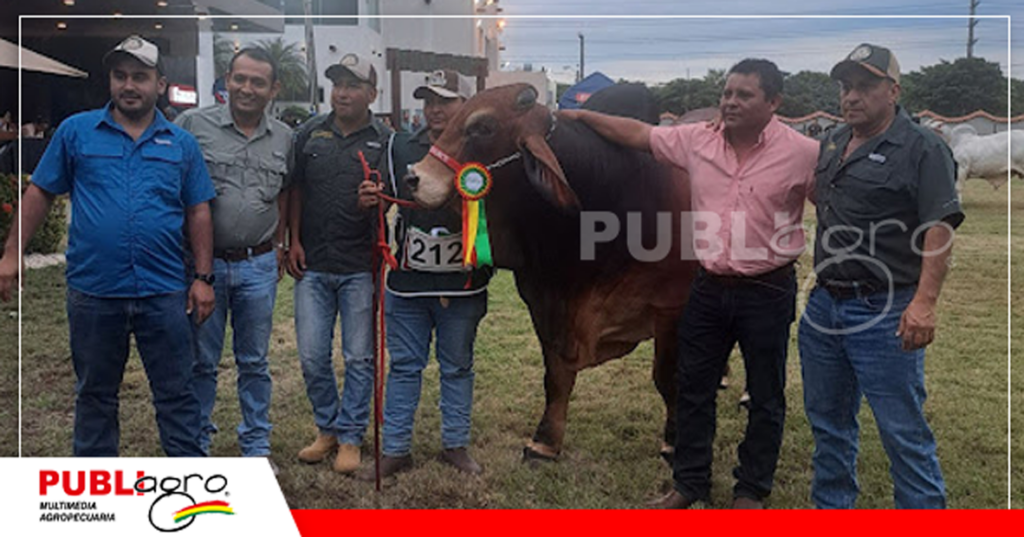 Foto: Publiagro
