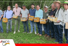 Santa Cruz impulsa su café de especialidad con el lanzamiento oficial de la cosecha 2026