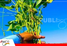 Beni apuesta a la agricultura y ganadería como motor para superar la pobreza y transformar su economía