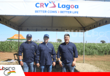 Expozebú 2026: CRV Lagoa fortalece alianzas estratégicas en Bolivia y expande genética bovina de alto nivel para la región