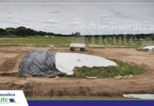 Ensilaasch met Inokulanten verbetert de Fermentatschoon un de Nährwert vom fottgeholten Foada