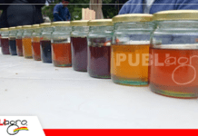 Apicultores logran acuerdo parcial con EBA y liberan parte de la deuda