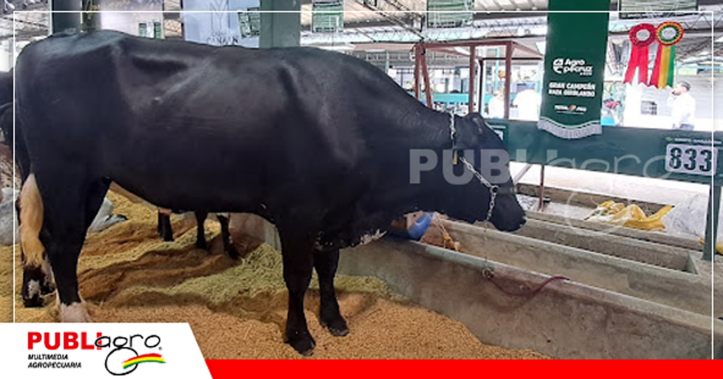 Facundo Neto es hijo de padres campeones/ Foto: Publiagro