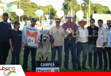 Expozebú 2026: Cabaña Esterlina hace historia para Bolivia al conquistar el campeonato ternera de Gir