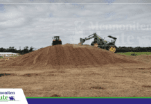 Silo machen: ene Schlüsseltechnologie, om Fudder in de Viehzucht dat ganze Johr to sichern