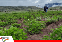 CONGABOL alerta que Decreto 5613 pone en riesgo la estabilidad jurídica y ambiental del país