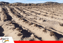 UNIPROS respalda Ley 1720 y asegura que es oxígeno para productores afectados