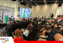 Agropecuaria y mundo rural: el motor estratégico de América Latina según la CAF