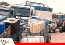 Diésel en el agro: Gobierno admite momento crítico y promete normalización en plena cosecha