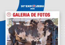 📷Galería de fotos | ALTA centro de colecta de semen y embriones